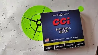 First Time Shooting the CCI Shotshell 22LR