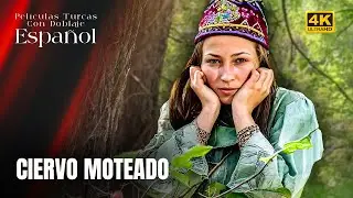 Ciervo Moteado - Película Turca Doblaje Español - 4Kseries - Ala Geyik