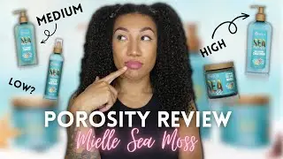 Mielle Sea Moss: What Porosity Does it Work for?