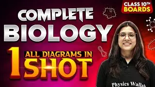 Class 10th BIOLOGY All Diagrams in 1 Shot | Full Syllabus Covered CBSE Board