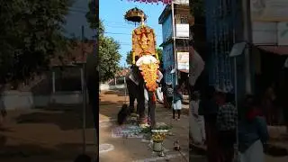 ചിറക്കൽ പരമേശ്വരൻ 🐘 പുല്ലാട്ട് കർണ്ണൻ 🐘 പുതുശ്ശേരി വിജയൻ 🐘 വെളപ്പായ പത്താമുദയം 2025 #pooram #ulsavam