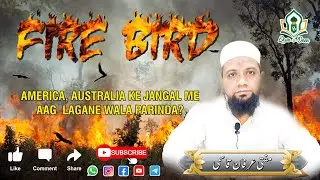 America, Australia ke Jangal me Aag  Lagane Wala parinda? 'Haqiqat, Fact.. Fire Bird  #firebirdपक्षी
