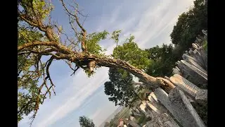An Old Jewish Cemetery in Western Ukraine