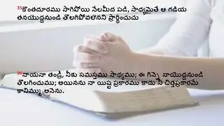 మార్కు సువార్త | మార్కు &ndash; 14 అధ్యాయము | Gospel of mark chapter 14 audio in telugu