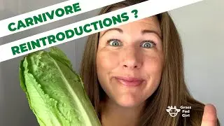 Carnivore diet food reintroductions: Adding back foods after a zero carb diet | food sensitivities
