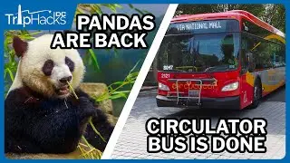Washington DC Travel News & Tourism Updates (Winter 2024/2025)