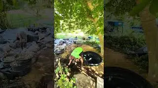 Waterfall & Koi-Pond Build in Monkton
