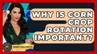 Why Is Corn Crop Rotation Important? - Commodity Wealth Investor