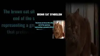 Brown cat symbolism- cats color and meaning @chronoTales-1-1