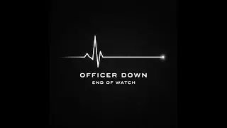 End Of Watch Plugin I LSPDFR SHOWCASE