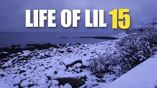 Off Days in Rhode Island | LIFE OF LIL 15