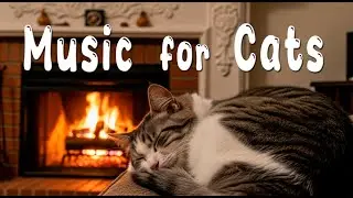 Relaxing Cat Music 🐈 Calming Cats Music for Deep Sleep, Healing, Antistress