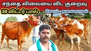  27-12-2025/ 20 லிட்டர் பால் / சந்தை விலையை விட குறைவு 