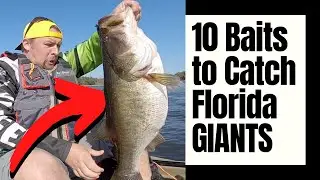 TOP 10 BAITS for GIANT FLORIDA Bass with footage of baits catching GIANTS