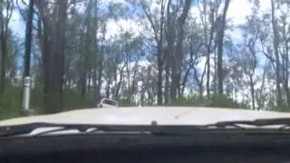 Copy of SubaClub Trip   Blackbutt Range Recce   January 2015