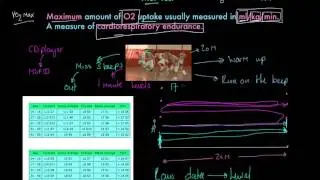 Multi Stage Fitness Test