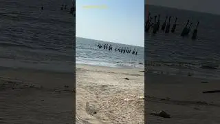 Beautiful beach #song #hindisong #love