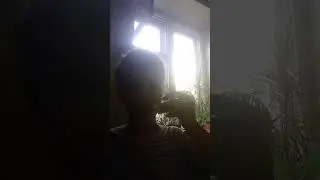 1 сентября 2024 г.