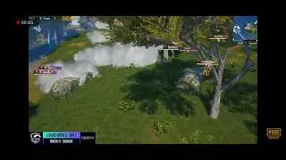 STE flex amazing pmpl chicken dinner chicken 🐔🍗