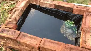 Building A Mini Pond Out Of Bricks!