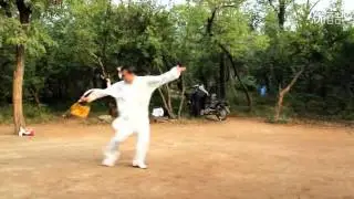 八卦龙行剑  赵建