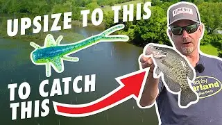 Crack the Code on BIG Crappie (Late Summertime Secrets)