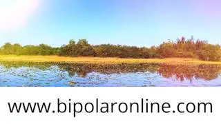 World's Greatest Bipolar Morning Meditation Blake LeVine Author+Coach