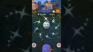 Got shiny Rowlet on Spotlights hour✨#shorts #pokemongo #pokemon #shiny #spotlighthour #fy #fyp