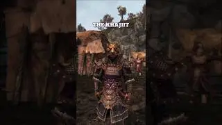 Skyrim, 🏛 Mody do kultury i cywilizacji #elderscrolls #bethesda #argonian #khajiit #skyrim #gra