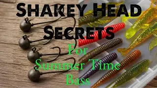 Shakey Head Secrets for Pressured Summer Bass