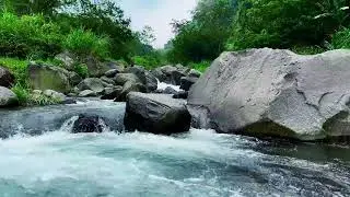 River Lullaby - Restful Night in Nature's Arm | sleep - relax - enjoy life - ASMR