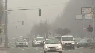 Возниот парк во Македонија се зголемил двојно со увоз на половни возила, главно на дизел