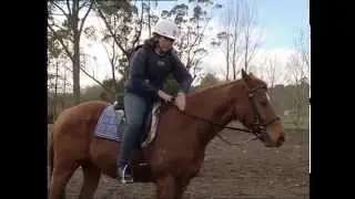 A Day in the Life - Horse Whisperer Karley Windlebourne