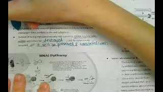 AP Biology Unit 6 Day 6: Finishing Eukaryotic Gene Regulation and Biotechnology