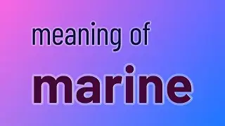 Marine - 74 English Vocabulary Flashcards