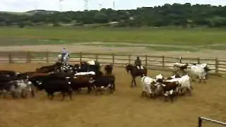 Ganader&iacute;a Torrestrella