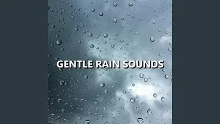 Precise Natural Rainfall Sounds