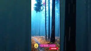 #nature #raining #snowfall #hailing #shorts