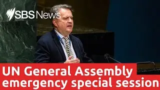 Russia's 'aggression' in Ukraine condemned during rare UN General Assembly session | SBS News