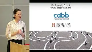 Evolving Built Environments and Mobile Autonomy for Future Transport and Mobility - Amanda Prorok