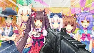 Как жить с котодевочками