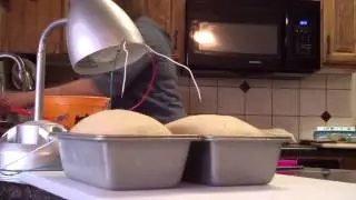 Makey Makey and Bread