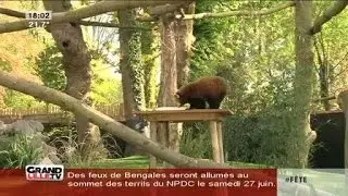 Réouverture du zoo de Lille