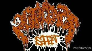 POESIA DEL PORNO/PUTREFACT SHIT