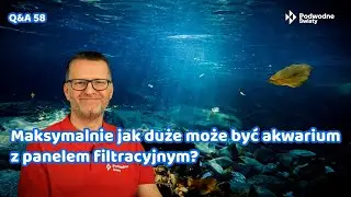 Q&A58. Maksymalnie jak duże może być akwarium z panelem filtracyjnym. Nowa metoda eutanazji ryb.