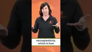 Exercise for Concussion Recovery Tips