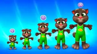 HAPPY BIRTHDAY LEVEL 5 VS LEVEL 10 VS LEVEL 15 VS LEVEL 20 VS LEVEL 24 VS LEVEL 30 TALKING TOM 2 🧀🧀🧀