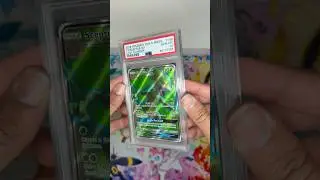 Such an amazing card!!! #pokemon #sceptile #psa #shorts #tcgpokemon