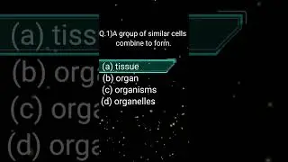 class |8th science chapter 8| Cell structure and function mcq question. @class8mcqquestions.
