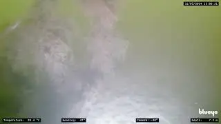 video BYEDP210034 2024 05 31 105911